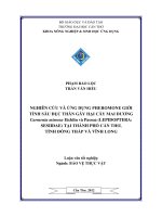 NGHIÊN cứu và ỨNG DỤNG PHEROMONE GIỚI TÍNH sâu đục THÂN gây hại cây MAI DƯƠNG carmenta mimosa eichlin và passoa tại THÀNH PHỐ cần THƠ, TỈNH ĐỒNG THÁP và VĨNH LONG 