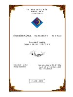 LUẬN văn sư PHẠM vật lý TÌNH HÌNH NĂNG LƯỢNG NGUYÊN tử ở VIỆT NAM 