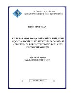 KHẢO sát một số đặc điểm HÌNH THÁI, SINH học của bọ xít nước MICROVELIA DOUGLASI ATROLINEATA BERGROTH TRONG điều KIỆN PHÒNG THÍ NGHIỆM 