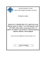 KHẢO sát ẢNH HƯỞNG của một số LOẠI THUỐC bảo vệ THỰC vật lên bọ rùa sáu vệt ĐEN và THỨC ăn NHÂN tạo NUÔI ấu TRÙNG bọ rùa TRONG PHÒNG THÍ NGHIỆM 