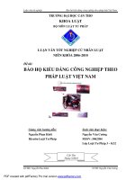 LUẬN văn LUẬT tư PHÁP bảo hộ KIỂU DÁNG CÔNG NGHIỆP THEO PHÁP LUẬT VIỆT NAM 