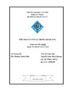 LUẬN văn sư PHẠM vật lý TIÊU HAO và tán xạ TRONG sợi QUANG 