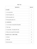 sáng kiến kinh nghiệm Ứng dụng trò chơi dân gian vào hoạt động ngoài trời cho trẻ lứa tuổi mẫu giáo 56 tuổii