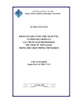 KHẢO sát KHẢ NĂNG CHỊU NGẬP ÚNG và PHÂN hủy rơm của các CHỦNG nấm TRICHODERMA THU THẬP TỪTIỀN GIANG TRONG điều KIỆN PHÒNG THÍ NGHIỆM 