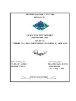 LUẬN văn LUẬT tư PHÁP tội PHÁ THAI TRÁI PHÉP TRONG LUẬT HÌNH sự VIỆT NAM 