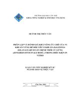 PHÂN lập và ĐÁNH GIÁ KHẢ NĂNG ức CHẾ của VI KHUẨN VÙNG rễ đối với VI KHUẨN RALSTONIA SOLANACEARUM gây BỆNH THỐI củ GỪNG TRONG điều KIỆN IN VITRO 