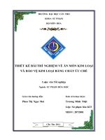 LUẬN văn sư PHẠM hóa THIẾT kế bài THÍ NGHIỆM về ăn mòn KIM LOẠI và bảo vệ KIM LOẠI BẰNG CHẤT ức CHẾ 
