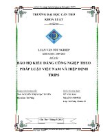LUẬN văn LUẬT tư PHÁP bảo hộ KIỂU DÁNG CÔNG NGIỆP THEO PHÁP LUẬT VIỆT NAM và HIỆP ĐỊNH TRIPS 
