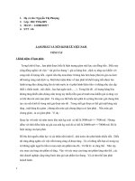 Tiểu luận môn ngân hàng thương mại lạm phát và nền kinh tế việt nam 