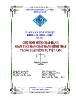 LUẬN văn LUẬT tư PHÁP CHẾ ĐỊNH MIỄN CHẤP HÀNH, GIẢM THỜI hạn CHẤP HÀNH HÌNH PHẠT TRONG LUẬT HÌNH sự VIỆT NAM 