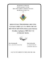 KHẢO sát đặc TÍNH SINH học, KHẢ NĂNG gây hại và HIỆU lực của THUỐC TRỪ sâu đối với sâu kéo MÀNG hellula undalisfabricius TRÊN RAU cải ở TỈNH sóc TRĂNG 