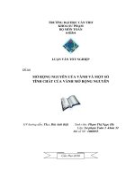 LUẬN văn sư PHẠM TOÁN mở RỘNG NGUYÊN của VÀNH và một số TÍNH CHẤT của VÀNH mở RỘNG NGUYÊN 