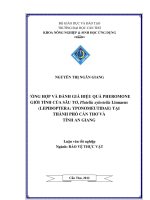 TỔNG hợp và ĐÁNH GIÁ HIỆU QUẢ PHEROMONE GIỚI TÍNH của sâu tơ, plutella xylostella linnaeus tại THÀNH PHỐ cần THƠ và TỈNH AN GIANG 