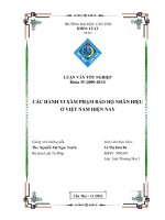 LUẬN văn LUẬT tư PHÁP các HÀNH VI xâm PHẠM bảo hộ NHÃN HIỆU ở VIỆT NAM HIỆN NAY 