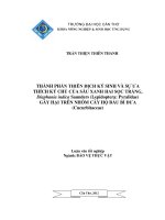 THÀNH PHẦN THIÊN ĐỊCH ký SINH và sự ưa THÍCH ký CHỦ của sâu XANH HAI sọc TRẮNG, diaphania indicasaunders gây hại TRÊN NHÓM cây họ bầu bí dưa 