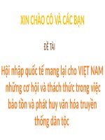 Hội nhập quốc tế mang lại cho VIỆT NAM  những cơ hội và thách thức trong việc bảo tồn và phát huy văn hóa truyền thống dân tộc