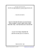 Quản lý rủi ro tín dụng tại ngân hàng Nông nghiệp và Phát triển nông thôn tỉnh Phú Thọ, chi nhánh huyện Thanh Sơn (Luận văn thạc sĩ)