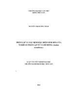 PHÂN lập và xác ĐỊNH đặc điểm SINH hóa của VI KHUẨN PHÂN lập từ cá rô ĐỒNG (anabas testudineus) 