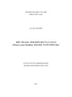 ĐIỀU TRA đặc TÍNH PHÂN bố của cá NGÁT dọc TUYẾN SÔNG hậu 