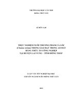 THỰC NGHIỆM NUÔI THƯƠNG PHẨM cá lóc (channa striata)TRONG GIAI đặt TRONG AO đất BẰNG THỨC ăn CÔNG NGHIỆP tại HUYỆN LAI VUNG – TỈNH ĐỒNG THÁP 