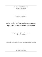 Phát triển thương hiệu dr  xylitol tại công ty TNHH orion food VINA (tt) 