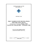 THỰC NGHIỆM NUÔI THƯƠNG PHẨM tôm THẺ CHÂN TRẮNG (litopenaeus vannamei boone, 1931) tại HUYỆN THẠNH PHÚ   TỈNH bến TRE 