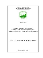 Nghiên cứu hiệu quả kinh tế sản xuất chè của các hộ nông dân trên địa bàn huyện Đại Từ tỉnh Thái Nguyên (Luận văn thạc sĩ)