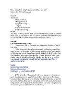 Xây dựng hệ thống tiêu chí đánh giá sự hòa nhập trong chính sách xã hội