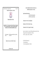 Nghiên cứu ứng dụng phẫu thuật nội soi tái tạo hai bó dây chằng chéo trước sử dụng gân bánh chè đồng loại (tt) 