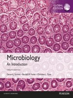 MIcroBiology an introduction 11e global edtion by totora funke case 1 