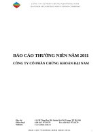 Báo Cáo Thường Niên Năm Công Ty Cổ Phần Chứng Khoán Đại Nam