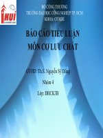 BÁO CÁO TIỂU LUẬN MÔN CƠ LƯU CHẤT