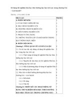 SKKN; Sử dụng thí nghiệm hóa học theo hướng dạy học tích cực trong chương oxi – lưu huỳnh