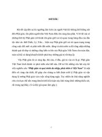 quá trình du nhập phát triển phật giáo ở việt nam