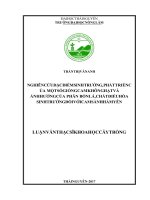 Nghiên cứu đặc điểm sinh trưởng, phát triển của một số giống cam không hạt và ảnh hưởng của phân bón lá, chất điều hòa sinh trưởng đối với cam sành hàm yên 