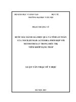 Bước đầu đánh giá hiệu quả và tính an toàn của tocilizumab (actemra) phối hợp với methotrexat trong điều trị viêm khớp dạng thấp 