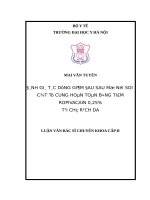 Đánh giá tác dụng giảm đau sau mổ nội soi cắt tử cung hoàn toàn bằng tiêm ropivacain 0,25% tại chỗ rạch da 