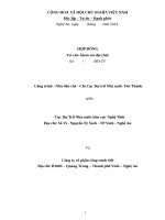 Mẫu hợp đồng tư vấn giám sát