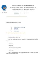 CHIẾN LƯỢC XÚC TIẾN HỖN HỢP