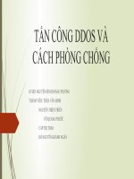 TẤN CÔNG DDOS VÀ CÁCH PHÒNG CHỐNG