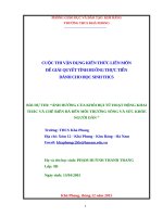 Ảnh Hưởng Của Khói Bụi Từ Hoạt Động Khai Thác Và Chế Biến Đá Đến Môi Trường Sống Và Sức Khỏe Người Dân