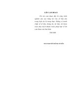 Phát triển phẩm chất chính trị của sĩ quan kỹ thuật cấp phân đội trong quân đội nhân dân việt nam hiện nay 