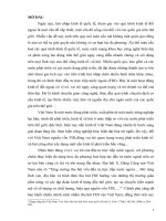 TIỂU LUẬN KINH tế CHÍNH TRỊ   THU hút đầu tư TRỰC TIẾP nước NGOÀI với PHÁT TRIỂN bền VỮNG KINH tế ở VIỆT NAM HIỆN NAY