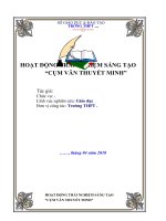 Hoạt động trải nghiệm ngữ văn 10 văn cụm bản thuyết minh