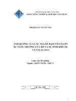 ẢNH HƯỞNG của các NGUỒN đạm vô cơ lên sự TĂNG TRƯỞNG của bò và sự SINH KHÍ CH4 và CO2 (in vitro) 