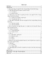 văn nghệ dân gian của người Pu Péo