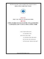 bản báo cáo thực tập tại công ty Tân Quang Minh ( Bidrico)