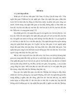 Tìm hiểu, mô tả, đánh giá và đề xuất để bảo tồn những giá trị văn nghệ dân gian của dân tộc mường ở tỉnh hòa bình
