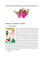 tiểu luận lập kế hoạch xuất thanh long sang lào