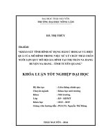 Khảo sát tình hình sử dụng hầm ủ biogas và hiệu quả của mô hình trong việc xử lý chất thải chăn nuôi lợn quy mô hộ gia đình tại thị trấn na hang huyện na hang tỉnh tuyên quang 